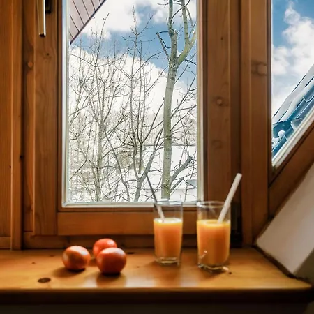 Orkana In By Rent Like * Zakopane
